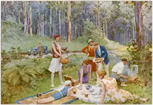 Forests Prints: In The Blue Gums Azure Shade - An Australian Bush Picnic