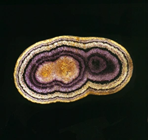 Black Background Collection: Blue John