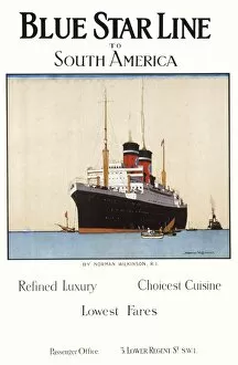 Shipping Collection: Blue Star Line poster