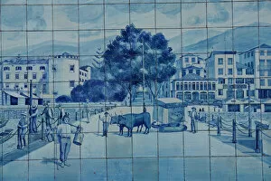 Avenida Collection: Blue Tiles, Avenida Arriaga, Funchal, Madeira