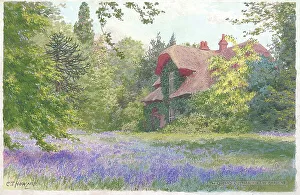 Bluebell Prints: Bluebell time at Kew