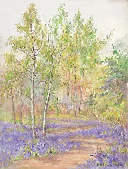Andrews Gallery: Bluebell Wood - Gardens