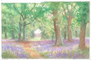 Affleck Gallery: Bluebells, Kew Gardens