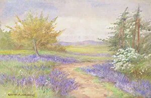 Andrews Gallery: Bluebells, Sussex - Gardens