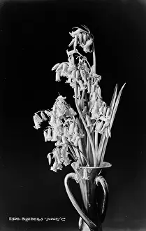 Petals Prints: Bluebells in a Vase