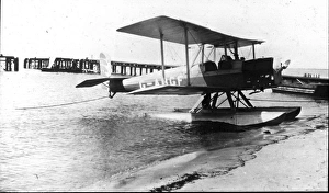 Abgf Collection: Bluebird at Cape St Mary (Bathurst)