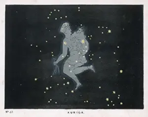 Gemini Prints: Blunt / Auriga / Plate 27