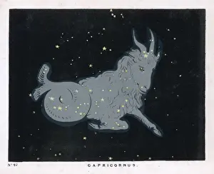 Capricorn Prints: BLUNT / CAPRICORN / 47 / 1849
