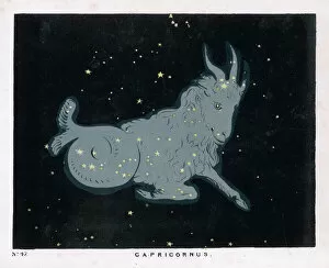 Constellation Gallery: BLUNT / CAPRICORN / 47 / 1849