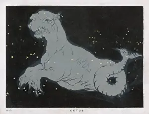 Blunt / Cetus / Plate 53