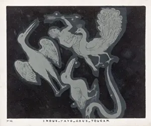 Toucan Prints: Blunt / Constellations / 90