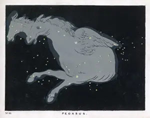 BLUNT / PEGASUS / 31 / 1849