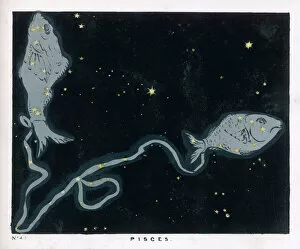 1849 Collection: Blunt / Pisces / Plate 49