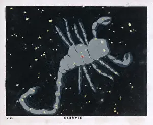 Scorpion Prints: BLUNT / SCORPIO / 45 / 1849