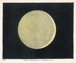 Blunt / Suns Disc / Plate 7
