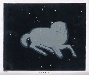 Aries Collection: Blunt / Ursa Major / Pl 24