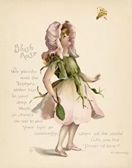 Personified Gallery: Blush Rose / Language of Flowers