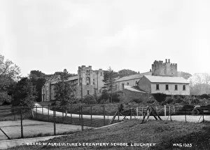 Board of Agricultures Creamery School Loughrey