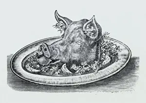 BOARs HEAD