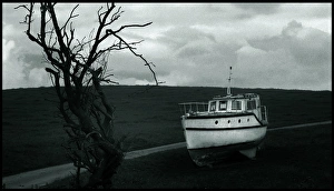 Images Dated 2006 June: 23 Jun 2006