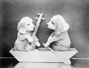 Paddle Gallery: Boating Beagles