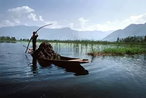 Laden Gallery: A boatman steers a shikara boat loaded with animal fodder