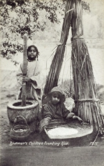 Images Dated 2011 April: 6 Apr 2011 Collection