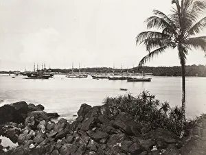 Boats at anchor, Point de Galle, Ceylon, Sri Lanka