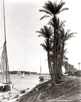 Boats and palms, banks on the River Nile, Egypt