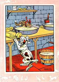 Stealing Prints: Bobby the dog and Fluff the cat in the dairy