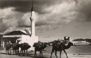 Halicarnassus Prints: Bodrum, Turkey - Camel Train, Mosque and Castle