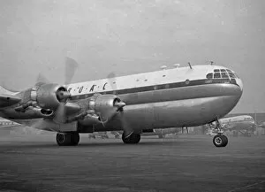 Boeing Collection: Boeing Stratocruiser G-AKGL BOAC Montego Bay
