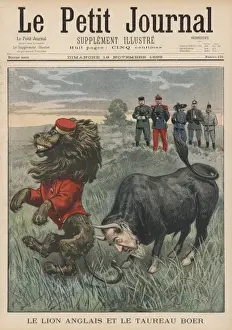 Boer Bull & Brit Lion