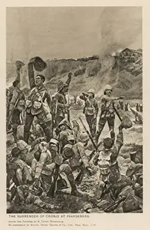 Bugler Prints: Boer / Cronje Surrenders