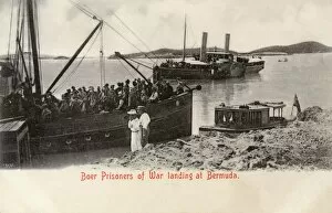 Boer Collection: Boer Prisoners of War landing at Bermuda