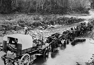 Trek Prints: Boers on the Great Trek, Victorian period