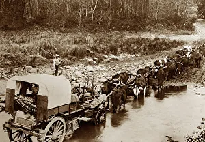 Boers on the Great Trek, Victorian period