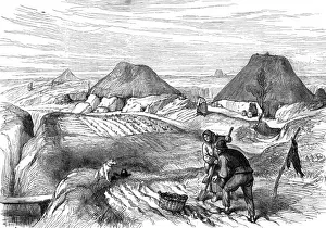 Bog village, County Roscommon, Ireland