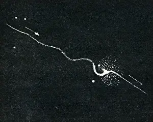 Exploded Prints: Bolide meteorite with lance-like antenna