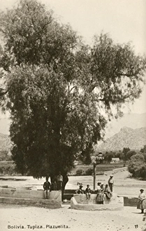 Images Dated 10th February 2012: Bolivia - Plazuelita, Tupiza