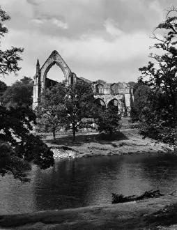 Bolton Abbey