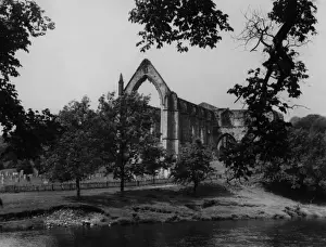 Bolton Abbey