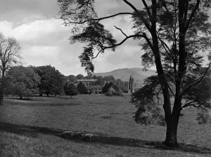 Bolton Abbey