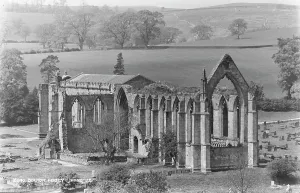 Graveyard Prints: Bolton Abbey Ruins