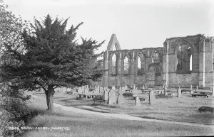 Graveyard Prints: Bolton Abbey Ruins