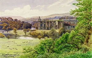 Bolton Abbey, Wharfedale, North Yorkshire