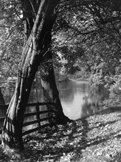 Vista Prints: Bolton Woods