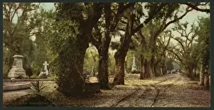 Cemetery Prints: Bonaventure Cemetery, Savannah, Georgia
