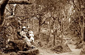 Landslip Prints: Bonchurch Landslip, Isle of Wight