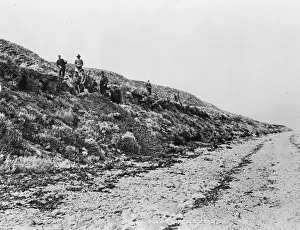 Bone diggers, Elizabeth Island, Strait of Magellan